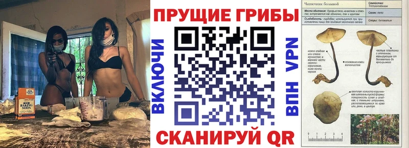мега как зайти  нарко площадка телеграм  Галлюциногенные грибы GOLDEN TEACHER  Заозёрный 