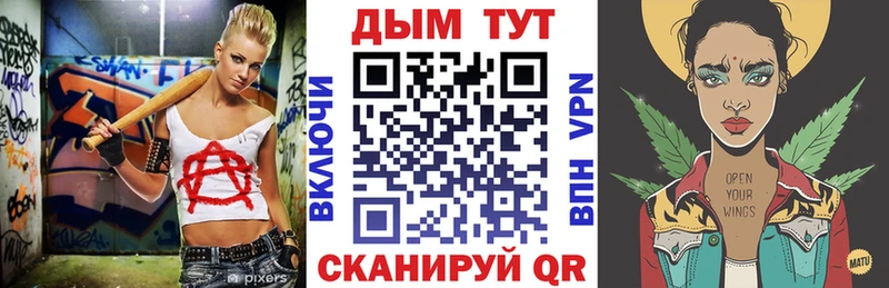 Каннабис OG Kush  Заозёрный 